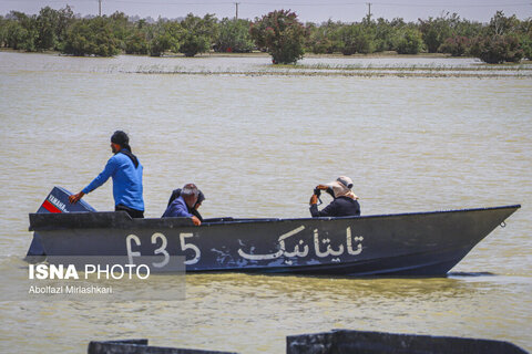 عکس | «فتاح2»، «اف 35» و «تایتانیک» در دریاچه هامون