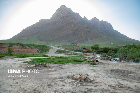 عکس | تصاویری ناراحت کننده از قطع گسترده درختان روستای اسکان