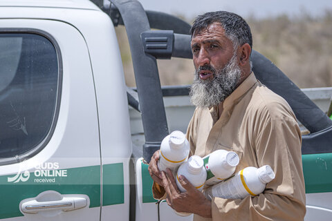 گزارش تصویری | حجوم ملخ کوهان‌دار به پهنه خراسان