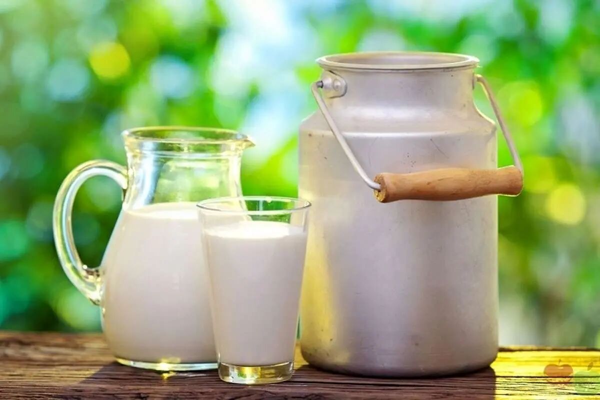 قیمت جدید شیر خام اعلام شد