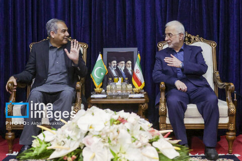 دیدار وزیران کشور ایران و پاکستان