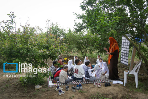 تحصیل در باغ خانه معلم