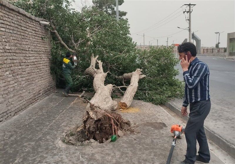 خسارت ۲۰ میلیارد ریالی طوفان در ‌بیرجند
