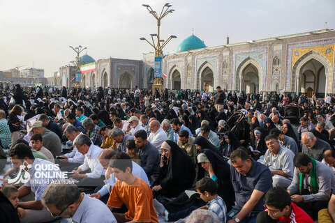 گزارش تصویری I قرائت دعای عرفه در حرم مطهر رضوی