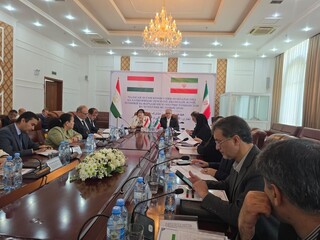 در اختتامیه کمیسیون همکاری اقتصادی ایران و تاجیکستان مطرح شد/ایران مهم‌ترین شریک تاجیکستان در منطقه