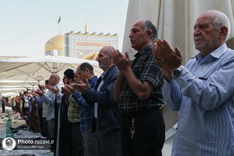 گزارش تصویری | اقامه نماز عید قربان در حرم مطهر رضوی