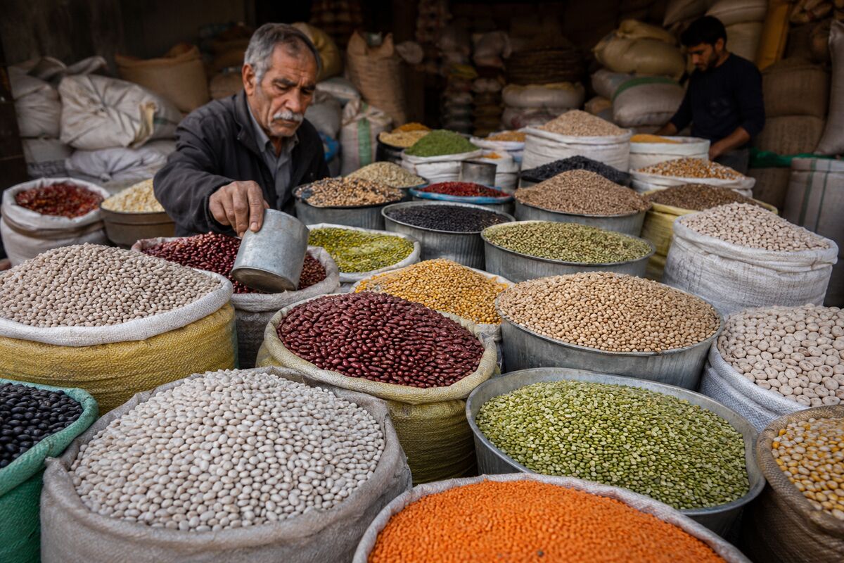 قیمت حبوبات شنبه ۱۶ خرداد ۱۴۰۵