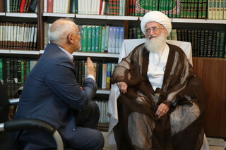آیت‌الله نوری همدانی:  نظارت کافی بر قیمت‌ها و کنترل بازار مشاهده نمی‌شود