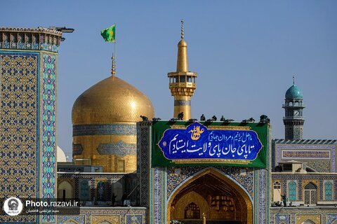 جهان خاکی‌ست، خاکی زیر پایت/ شعری دلنشین از علی داودی در وصف امام رضا(ع)