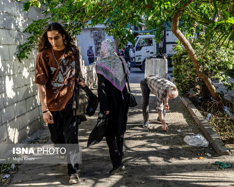 گزارش تصویری | درختان بی‌منت تهران