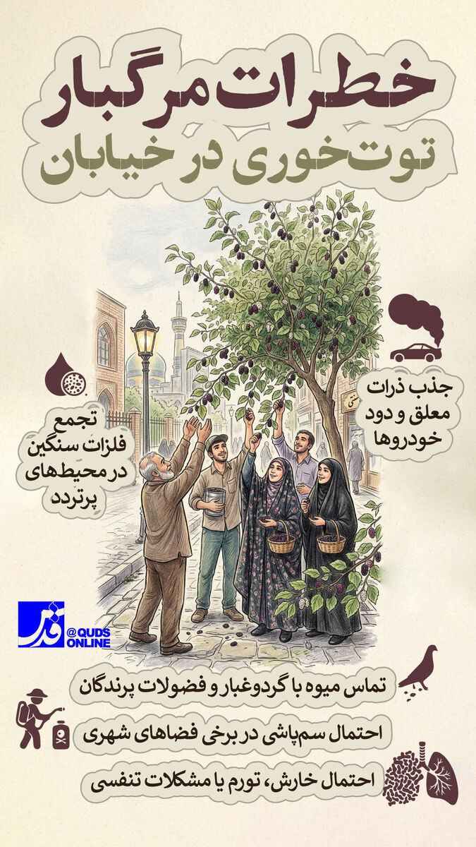 اینفوگرافیک | خطرات مرگبار توت‌خوری در خیابان