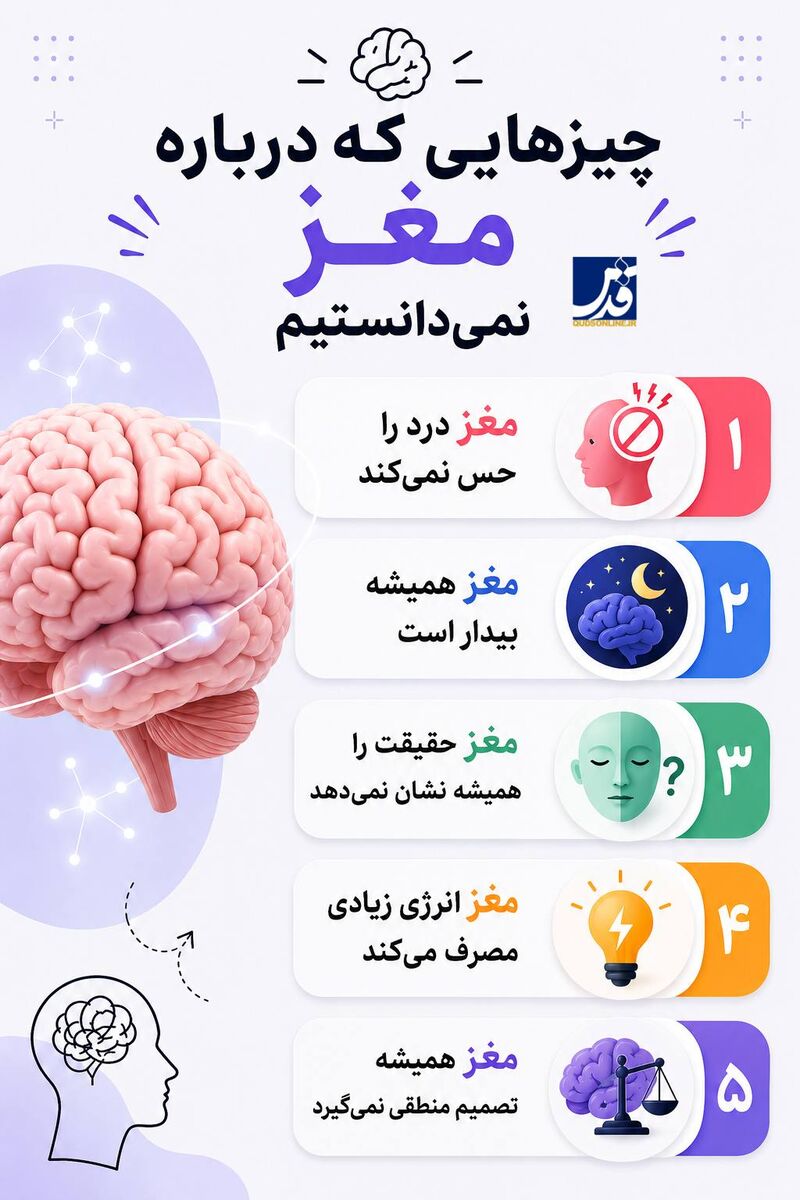 اینفوگرافیک | چیزهایی که درباره مغز نمی‌دانستیم...