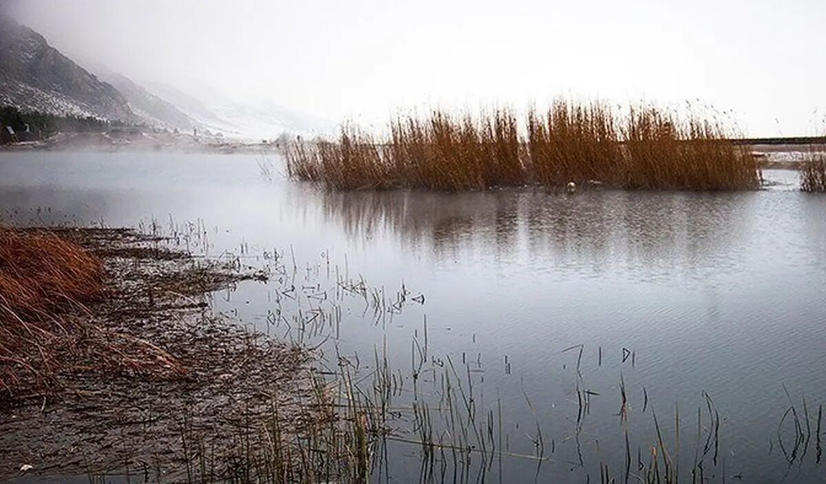 حق‌آبه‌های فراموش‌ شده و تالاب‌هایی که هنوز تشنه‌اند / تالاب‌ها میان آبگیری‌های مقطعی و احیای واقعی