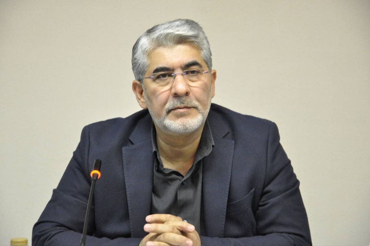حمیدی‌مقدم: آثار پویش «وطن به روایت من» باید گسترده‌تر دیده شود