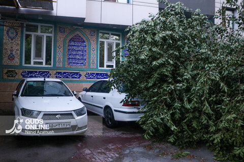 گزارش تصویری | طوفان عصرگاهی مشهد خسارت‌ساز شد