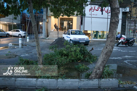 گزارش تصویری | طوفان عصرگاهی مشهد خسارت‌ساز شد