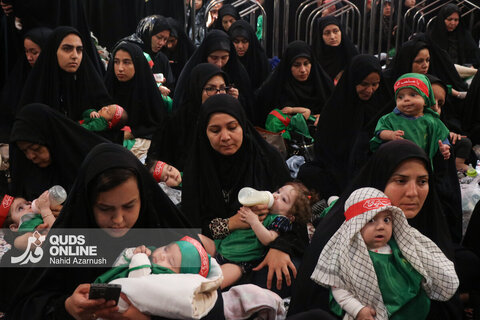 گزارش تصویری | مراسم شیرخوارگان حسینی در حرم مطهر رضوی