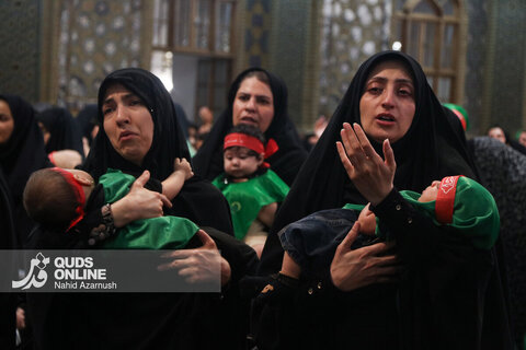 گزارش تصویری | مراسم شیرخوارگان حسینی در حرم مطهر رضوی