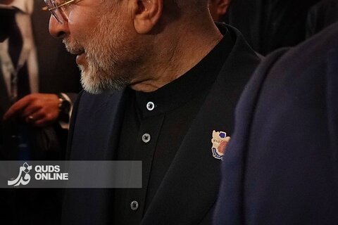 عکس | تصویری خاص از نشان سینه تیم مذاکره کننده ایرانی در سوییس