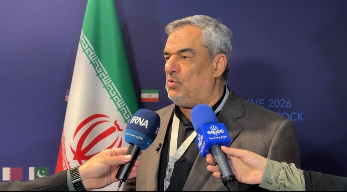مدیرعامل شرکت ملی نفت: رفع تحریم‌های نفتی در مذاکرات سوئیس پیگیری شد
