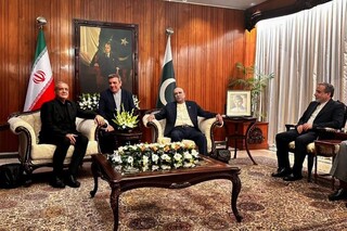 پزشکیان در دیدار با رئیس جمهور پاکستان: قدردان تلاش شبانه‌روزی پاکستان در راستای استقرار صلح و امنیت در منطقه هستیم