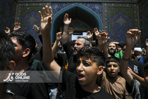 گزارش تصویری | عزاداری عاشورای حسینی در حرم امام رضا(ع)-۲
