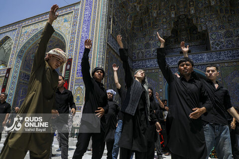 گزارش تصویری | عزاداری عاشورای حسینی در حرم امام رضا(ع)-۲