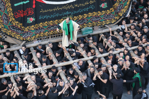  مراسم سنتی نخل‌برداری در تفت یزد