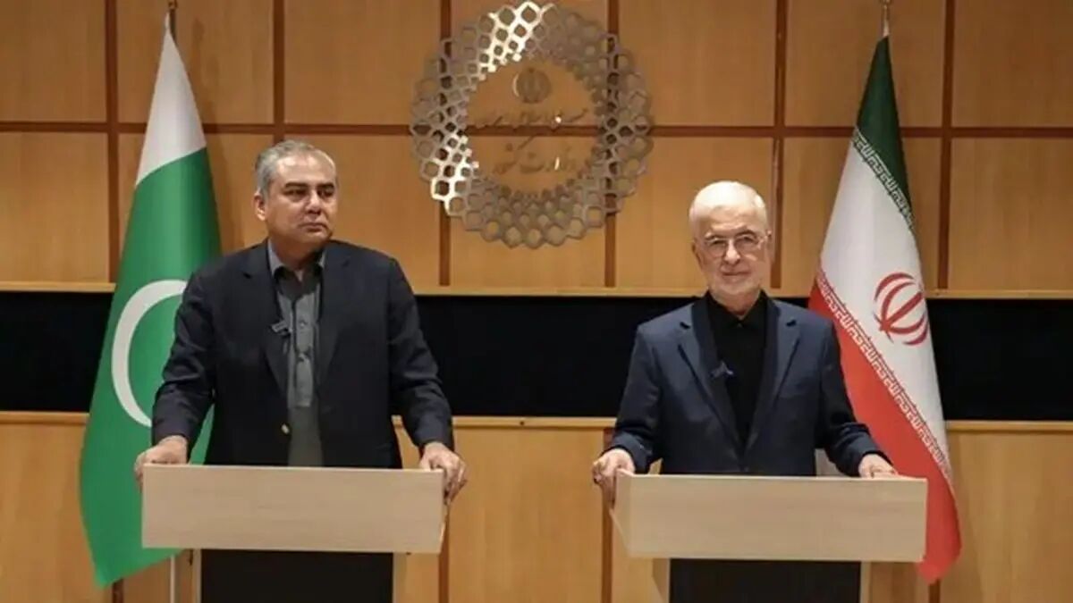 مومنی: روابط اقتصادی ایران و پاکستان باید هم‌سطح روابط سیاسی و فرهنگی ارتقا یابد