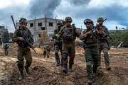 هشدار درباره موج جدید حملات شهرک‌نشینان صهیونیست / ثبت ۹۶ حمله در چند روز
