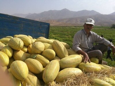 بعد از مرگ ۵ نفر؛ بساط خربزه فروش ها هنوز جمع نشده!