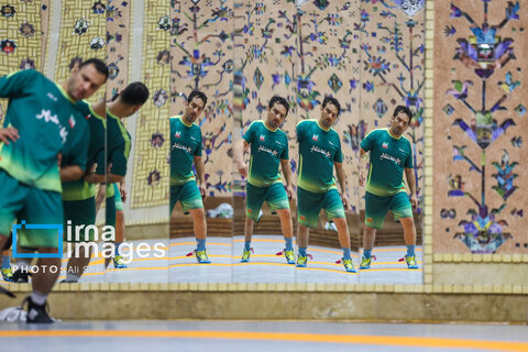 تمرین تیم ملی کشتی آزاد (2)