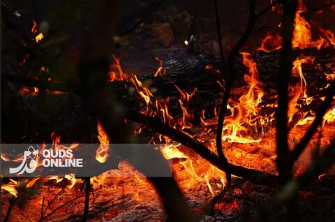 عکس | آتش به جان فرانسه و اسپانیا