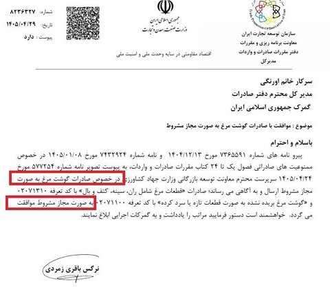 صادرات مرغ آزاد شد