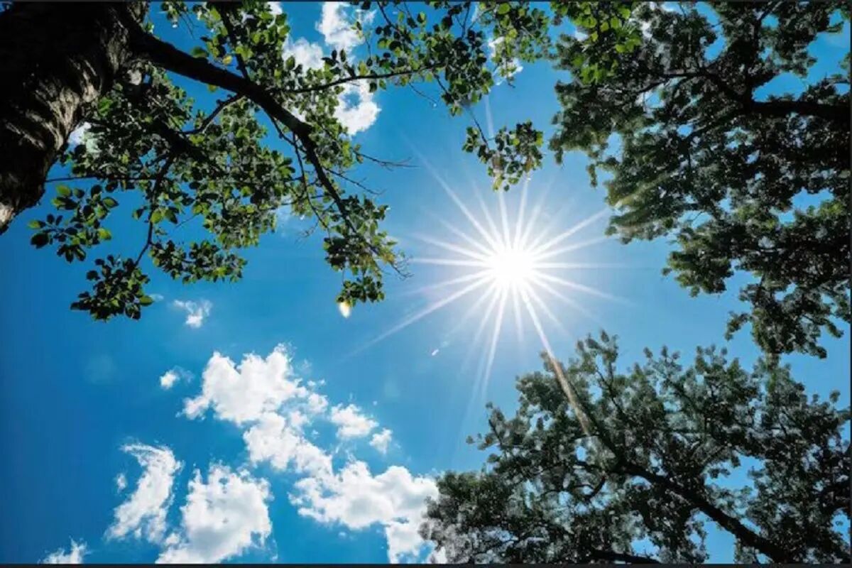 رگبار و رعدوبرق در جنوب و جنوب‌شرق کشور /  کاهش نسبی دما در نیمه شمالی از سه‌شنبه