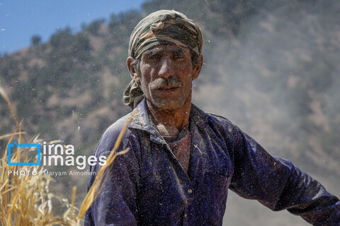 فصل کشت و کار عشایر بختیاری