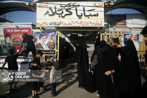 گزارش تصویری | پیاده روی زائران حسینی در مسیر نجف به کربلا