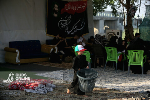 گزارش تصویری | پیاده روی زائران حسینی در مسیر نجف به کربلا