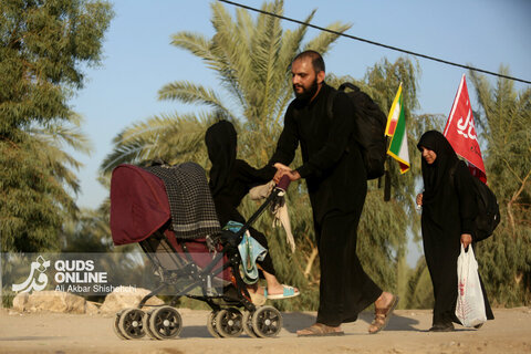 گزارش تصویری | پیاده روی زائران حسینی در مسیر نجف به کربلا