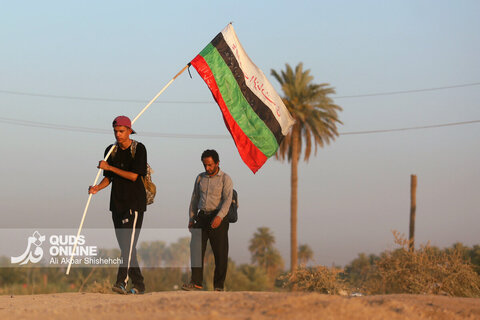 گزارش تصویری | پیاده روی زائران حسینی در مسیر نجف به کربلا