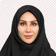 درباره اهمیت روایت‌نویسی در مواجهه و نسبت با امام هشتم(ع)/ امام مهربان همه ما