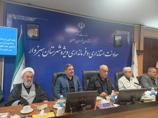 تکمیل طرح ریلی سبزوار در دستور کار دولت