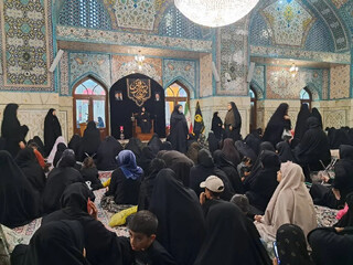عمل به سیره امام رضا (ع)، زیارت را معنا می‌کند