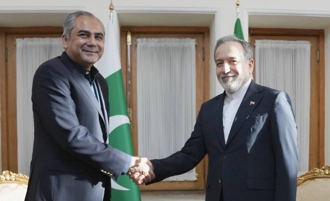 وزیر کشور پاکستان با عراقچی دیدار کرد
