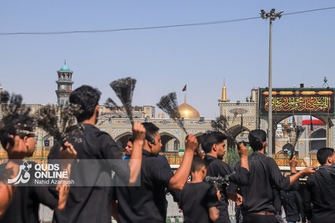 گزارش تصویری | مشهدالرضا سوگوار امام مجتبی(ع) و پیامبر اکرم(ص)