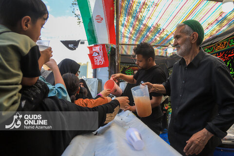 گزارش تصویری | مشهدالرضا سوگوار امام مجتبی(ع) و پیامبر اکرم(ص)