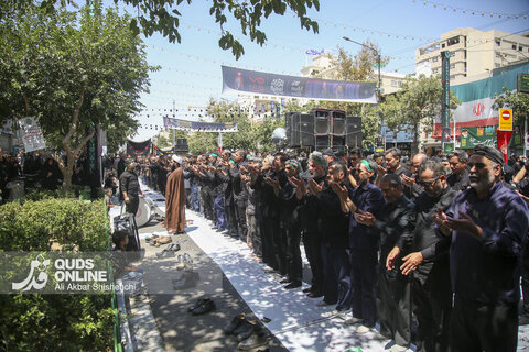 مشهد الرضا سوگوار شهادت امام رضا علیه السلام