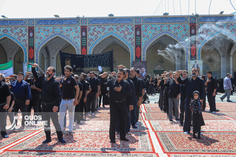 گزارش تصویری | عزاداری روز شهادت امام رضا (ع) در حرم مطهر رضوی