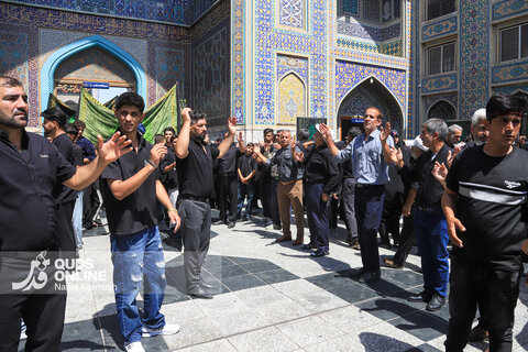 گزارش تصویری | عزاداری روز شهادت امام رضا (ع) در حرم مطهر رضوی