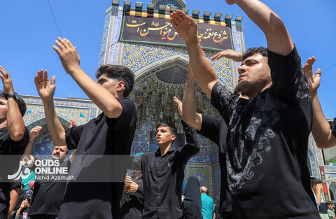 گزارش تصویری | عزاداری روز شهادت امام رضا (ع) در حرم مطهر رضوی